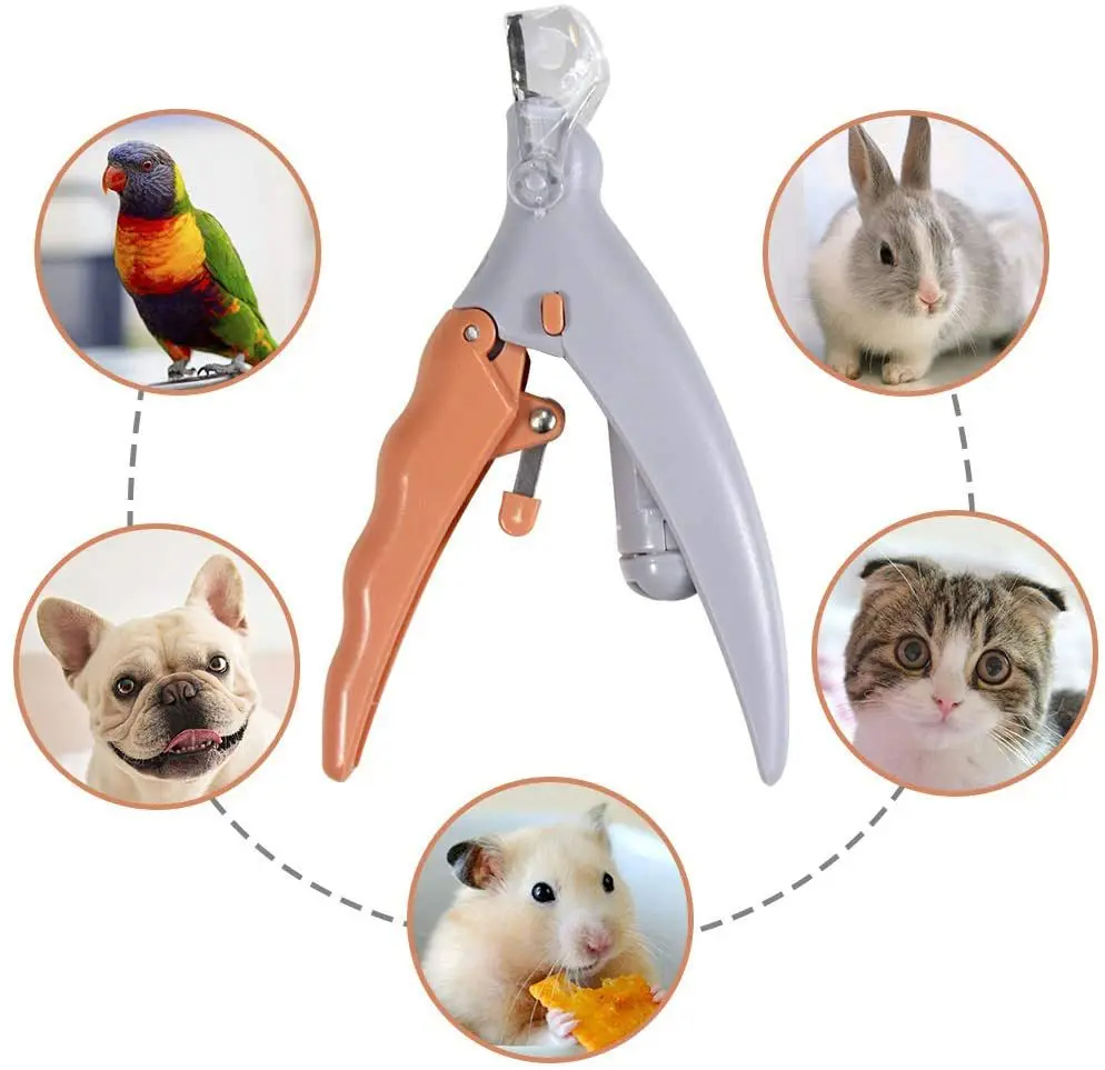 Tesoura Profissional para Cort - Grooming Scissors avaliação e preço